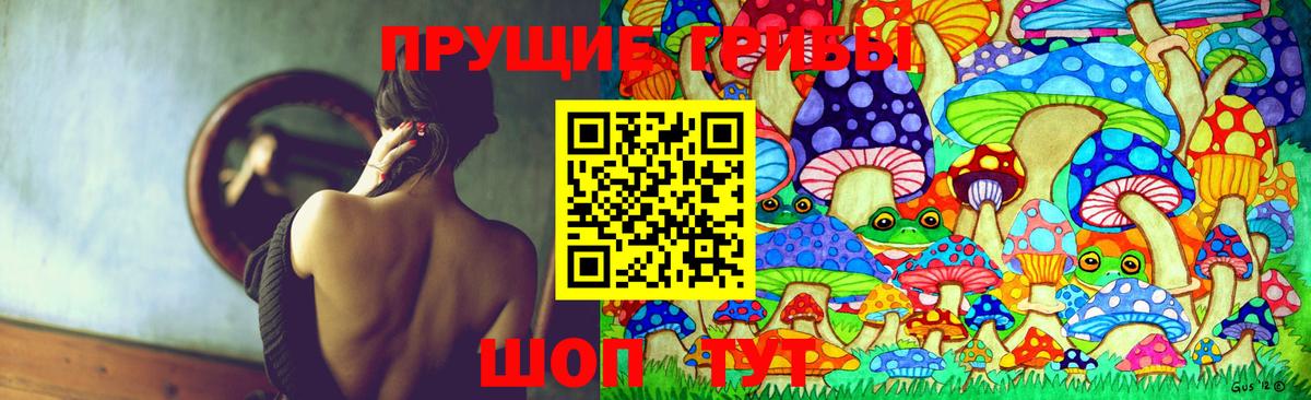 Семилуки  Псилоцибиновые грибы Cubensis  Вход с VPN 