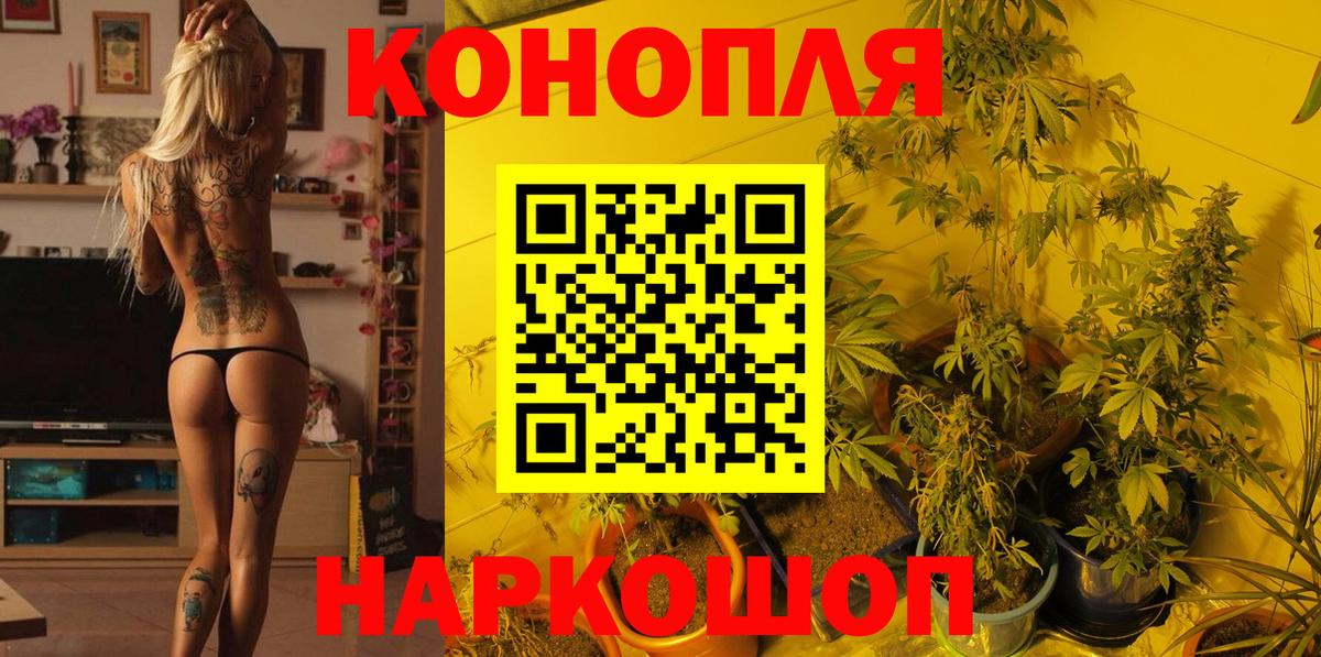 Канабис AK-47  Вход с VPN  Шишки марихуана Amnesia  Семилуки  Шишки марихуана планчик 
